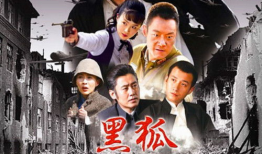 电视剧黑狐,谍影重重，信仰与背叛的较量