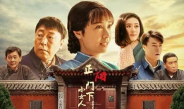 罗家寨的女人电视剧,风雨岁月中的坚韧传奇